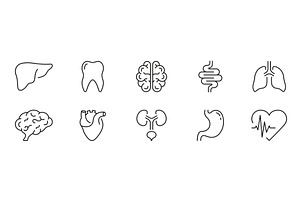 Human Internal Organ Icons, an Object Illustration by Gentle Studio
