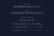 Moonlife - Serif Typeface Font, a Serif Font by Rishsketch (Thumbnail 13 of 15)