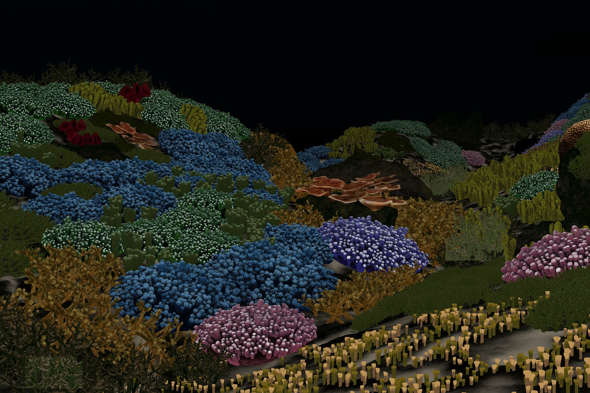 3D Cartoon Underwater Coral Reef Hab, an Environmental 3D Model by NOMODOL (Photo 22 of 24)