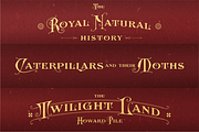 AM Rosnely (Disc 20%), a Serif Font by Akarmati (Thumbnail 5 of 10)
