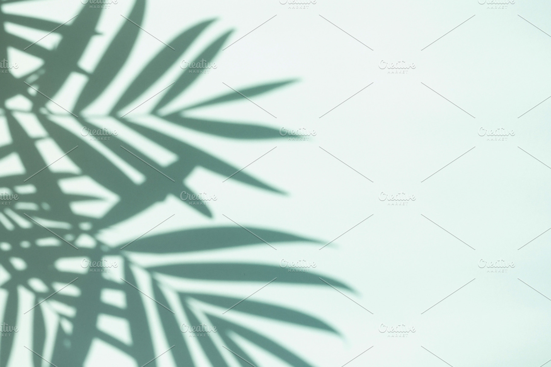 Shadows of palm leaves., an Abstract Photo by Olga_Z