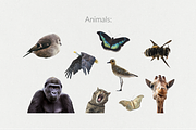 250+ Elements - Collage Creator Pack, an Object Graphic by Digi Life (Thumbnail 11 of 32)