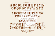 Crasey Modern Display Font, a Serif Font by Storytype Studio (Thumbnail 12 of 15)