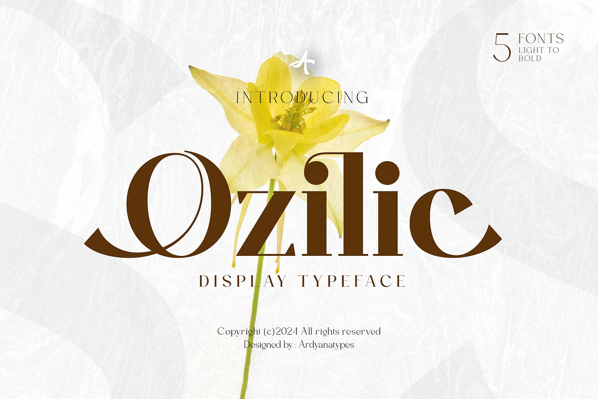 Ozilic, a Serif Font by Ardyanatypes (Photo 1 of 12)