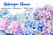 Hydrangea Flowers Watercolor Clipart, an Illustration by SindyPrintDesign (Thumbnail 1 of 4)