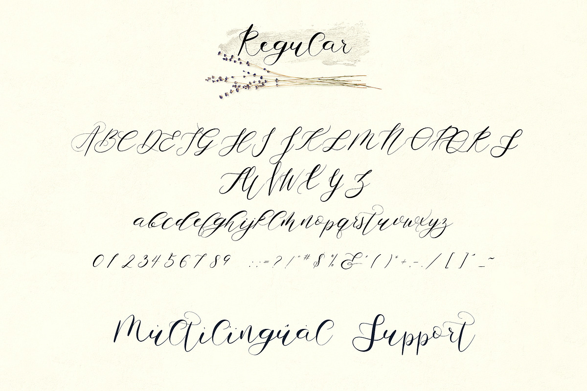 Zemarah script - 3 styles + Extras, a Script Font by VP Fonts (Photo 10 of 14)