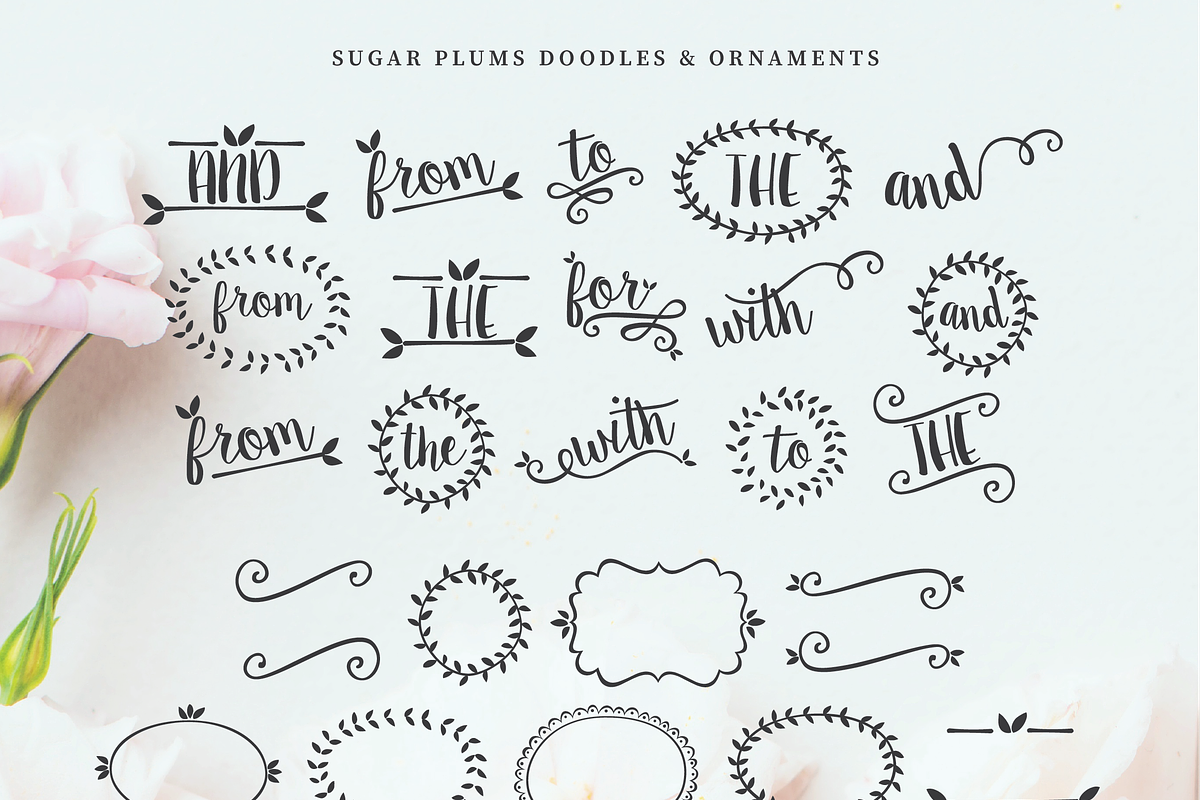 Sugar Plums Script, a Script Font by Emily Spadoni (Photo 7 of 7)