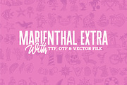Marienthal Font Bundle + Extras!, a Script Font by DittonSupplyCo (Thumbnail 2 of 8)
