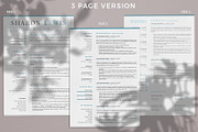 Professional Resume Format Example, a Resume Template by HIRED Design Studio (Thumbnail 4 of 18)