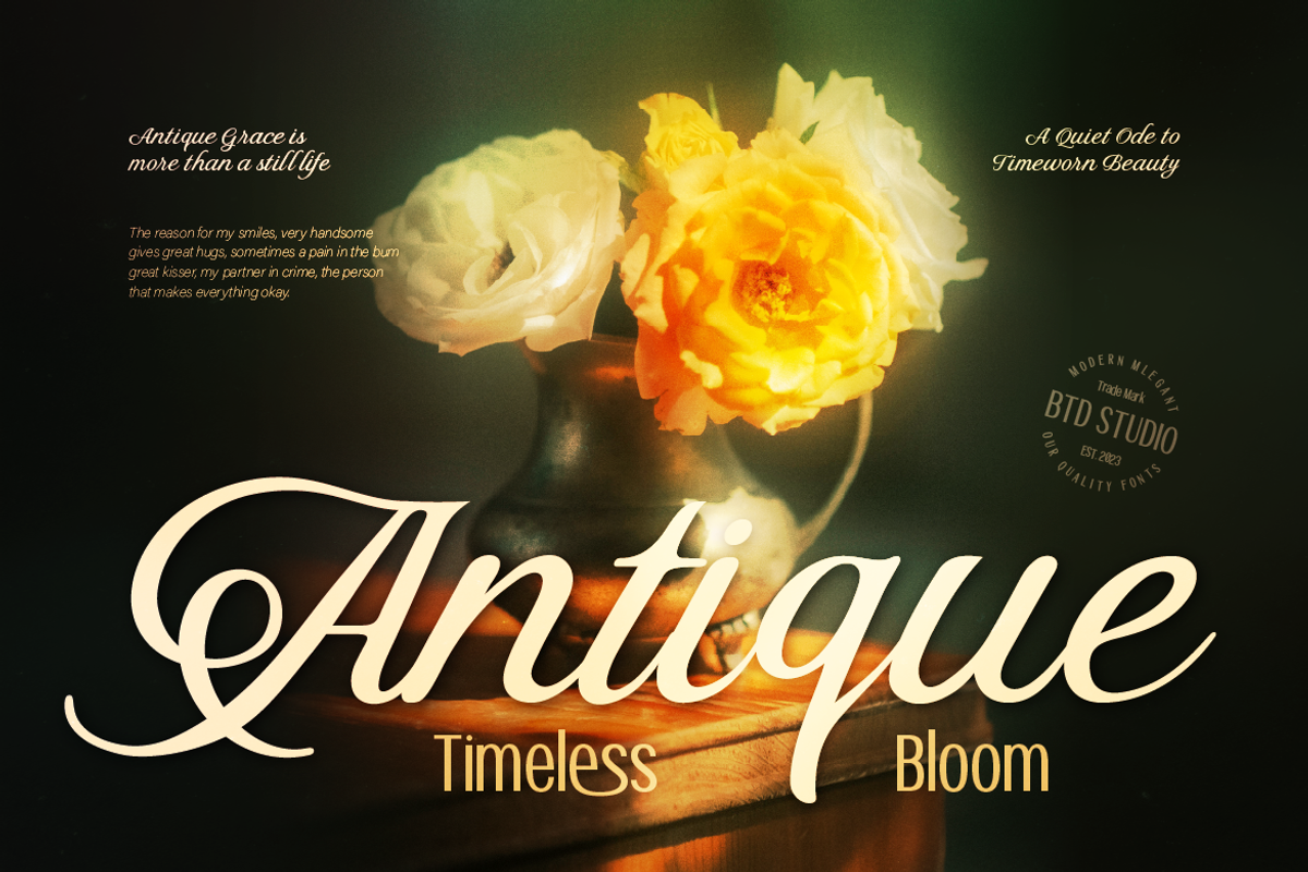 Stovina, a Script Font by Burntilldead (Photo 3 of 12)