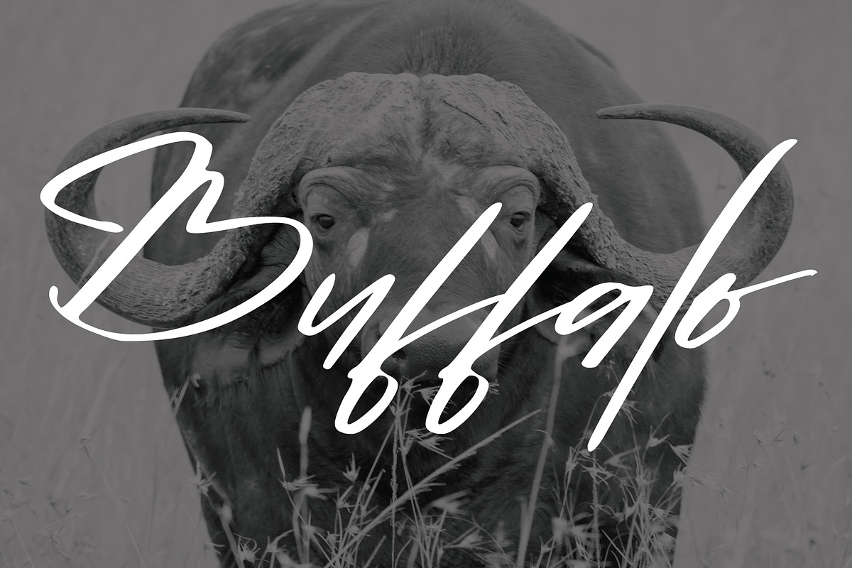 Buffalo font