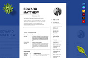 Job Application Resume, a Resume Template by Nur Designer (Thumbnail 3 of 4)