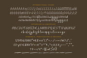 Southery Bold Brush Font, a Script Font by stylishtype.co (Thumbnail 18 of 20)