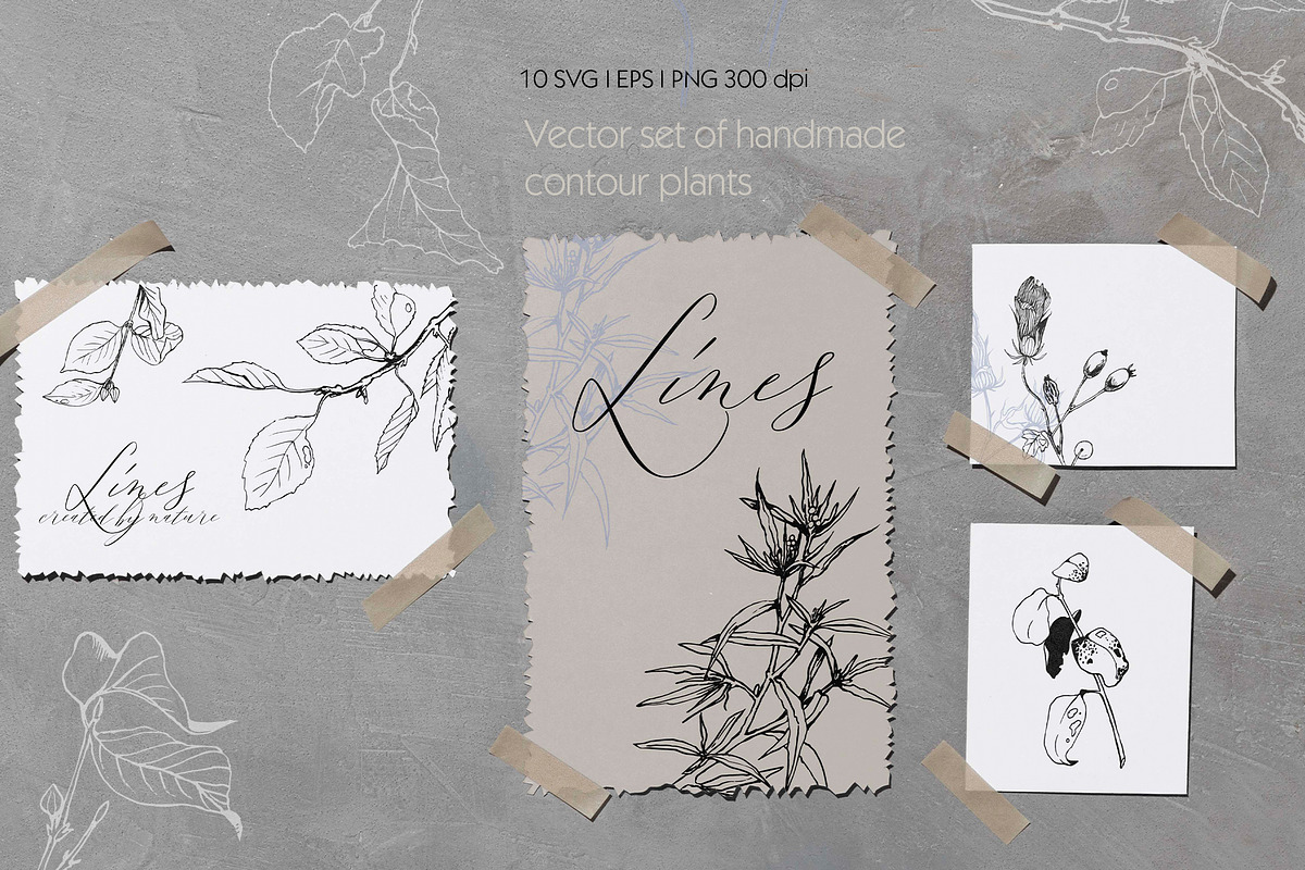 Set of linear plants vector and svg, an Illustration by RushkinaAntonina (Photo 2 of 4)