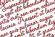 Cattalague a Script Font, a Script Font by Basnistudio (Thumbnail 4 of 11)
