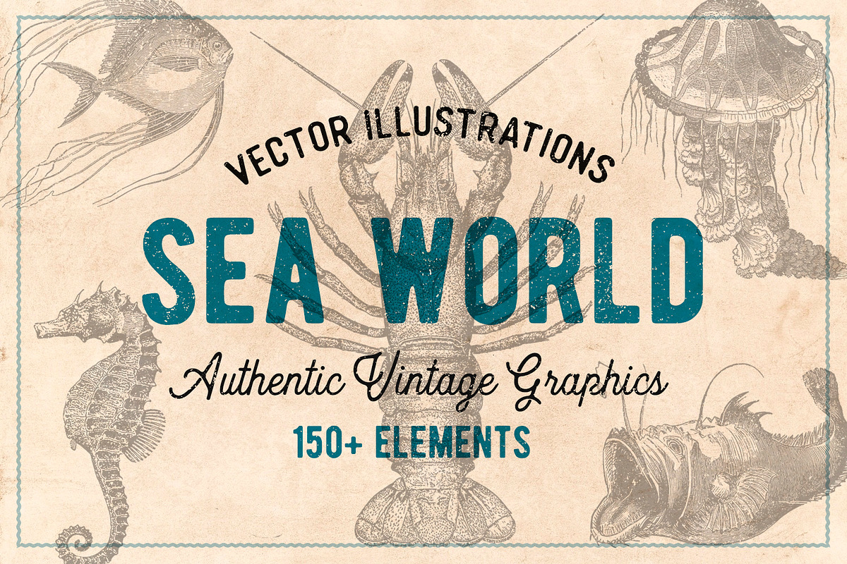 154 Vintage Sea Illustrations, an Animal Illustration by Brigantine Designs (Photo 1 of 10)