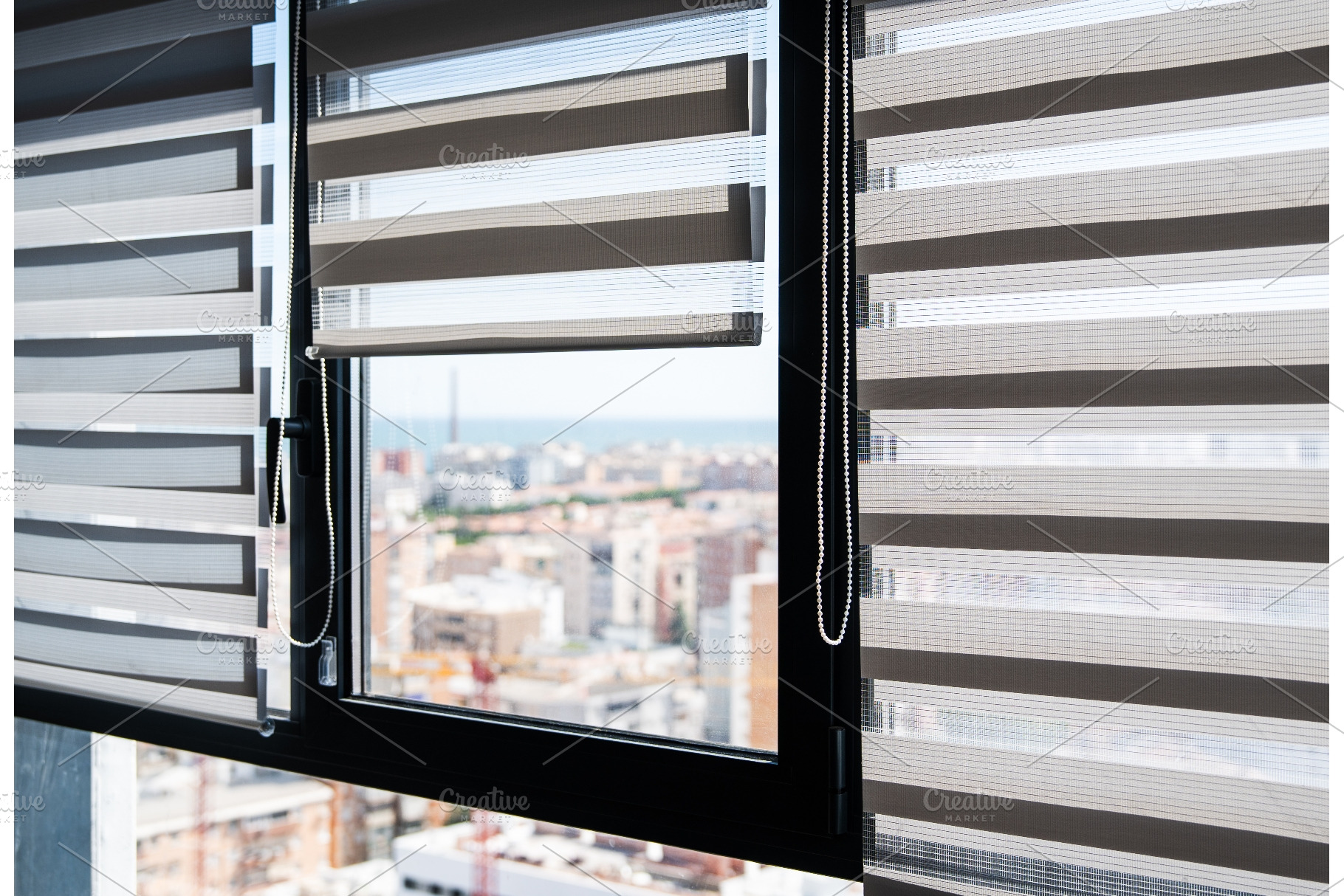 Wide Interior Window With Zebra, an Architecture Photo by volodymyrshtun13795