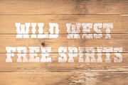 Cactus Hugger - Western Font, a Serif Font by ariodsgn (Thumbnail 6 of 6)