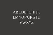 Brown Rosemary Elegant Serif Font, a Serif Font by UICreative (Thumbnail 9 of 13)