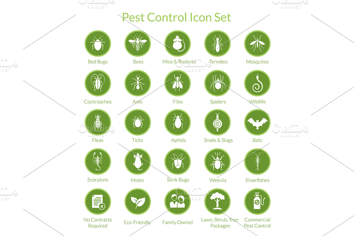 Pest Control Icon set, an Icon by Designifty (Photo 2 of 3)