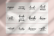 Vegetable and fruit illustrations, a Food Illustration by Fave Brush (Thumbnail 5 of 9)