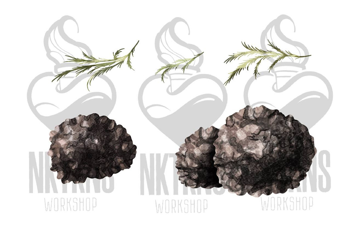 Black Truffle Watercolor Clipart, a Food Illustration by NKTKNS (Photo 3 of 6)