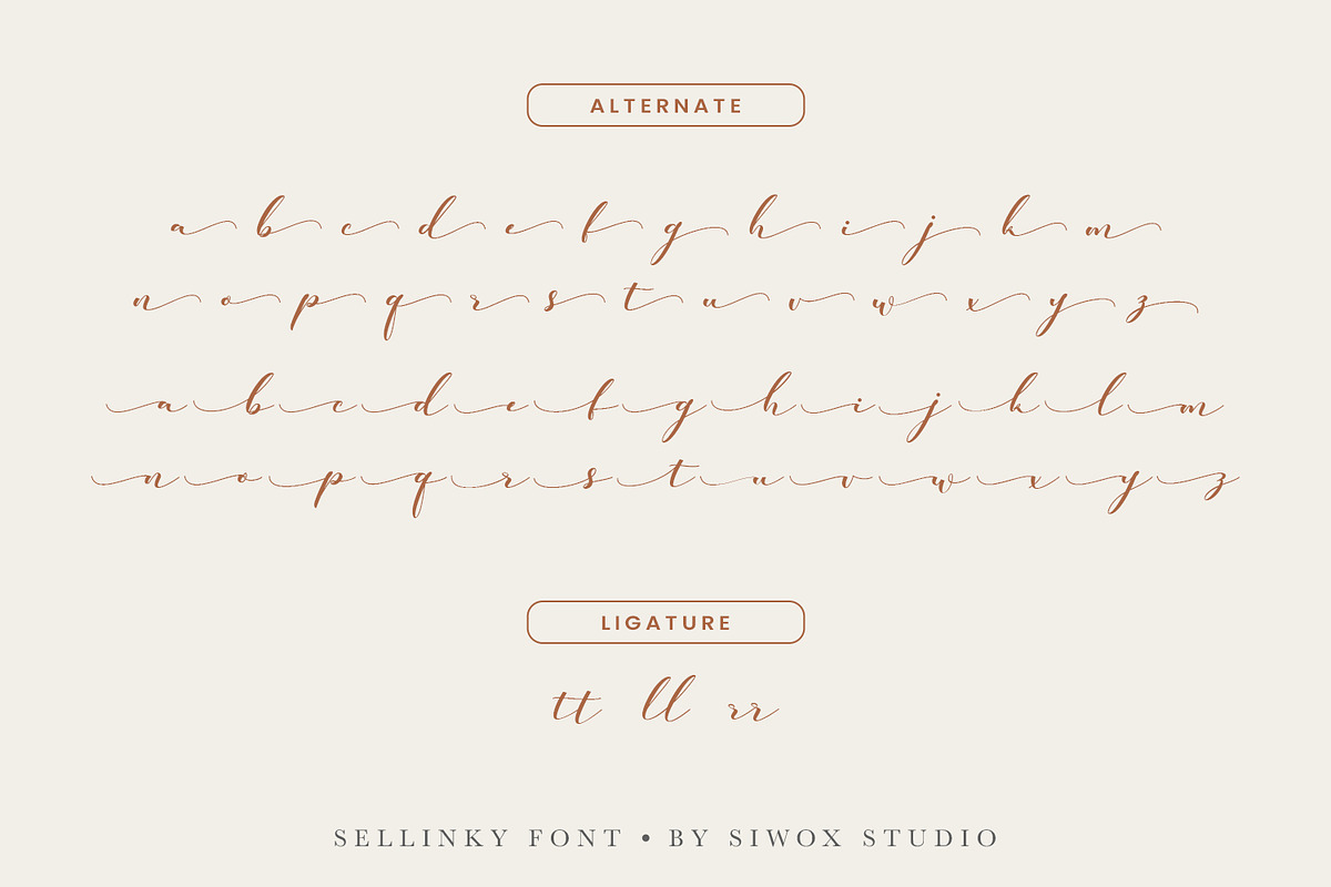 Sellinky - modern calligraphy script, a Script Font by Siwox Studios (Photo 7 of 8)