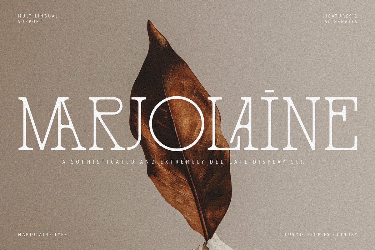 Marjolaine Type - A delicate Serif, a Serif Font by Cosmic Stories Foundry