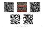 Zebra Skin Animal Print Patterns, a Pattern Graphic by karenfoleyphoto (Thumbnail 6 of 6)