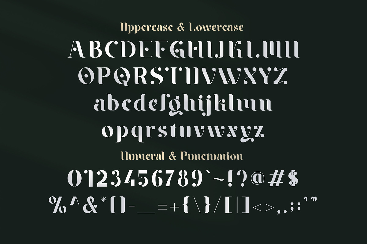 Braga Serif - Classic & Modern, a Serif Font by Lettertype Studio (Photo 7 of 10)