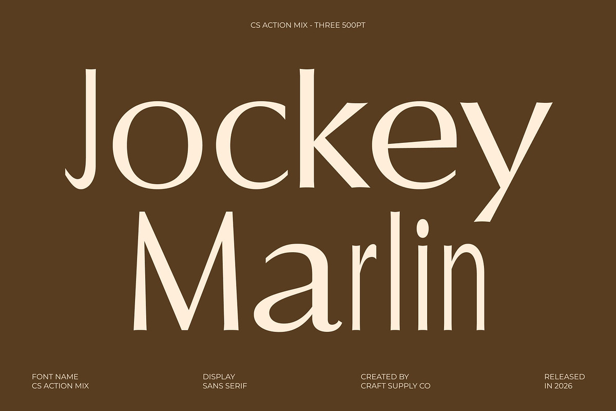 CS Action Mix, a Sans Serif Font by Craft Supply Co. (Photo 5 of 8)