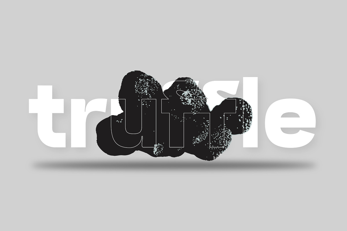 Mafle Type Grotesque Sans Family, a Sans Serif Font by Lettertype Studio (Photo 4 of 9)