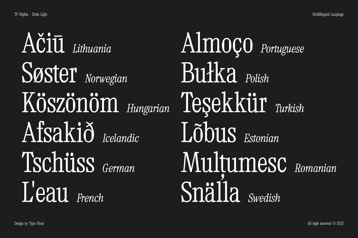 TF Mighu - Modern Slab Serif, a Serif Font by Type Flock (Photo 11 of 15)