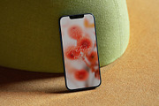 Harvest – Blurry Autumn Backgrounds, a Background Graphic by divanovskaya_nv (Thumbnail 11 of 18)