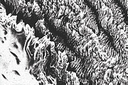 Filament, a Texture Graphic by Jennifer Lauren Creative (Thumbnail 2 of 16)