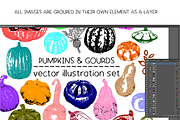 Pumpkins & Gourds - illustrations, a Food Illustration by Renée from Studio neetje (Thumbnail 5 of 5)