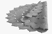 SAFAVIEH Iwan Casual Jute Rug L size, a Furniture 3D Model by 3dmitruk (Thumbnail 11 of 11)