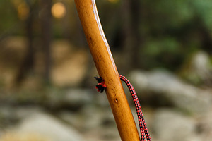 Detail of a hiking stick in a natura, a Holiday Photo by Perpis