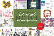 Hand drawn botanical bundle, an Illustration by handsketched (Thumbnail 1 of 24)