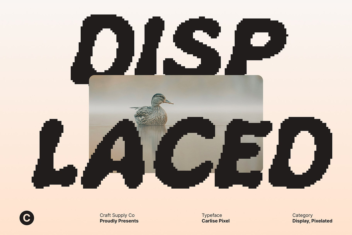 Carlise Pixel, a Sans Serif Font by Craft Supply Co. (Photo 5 of 8)