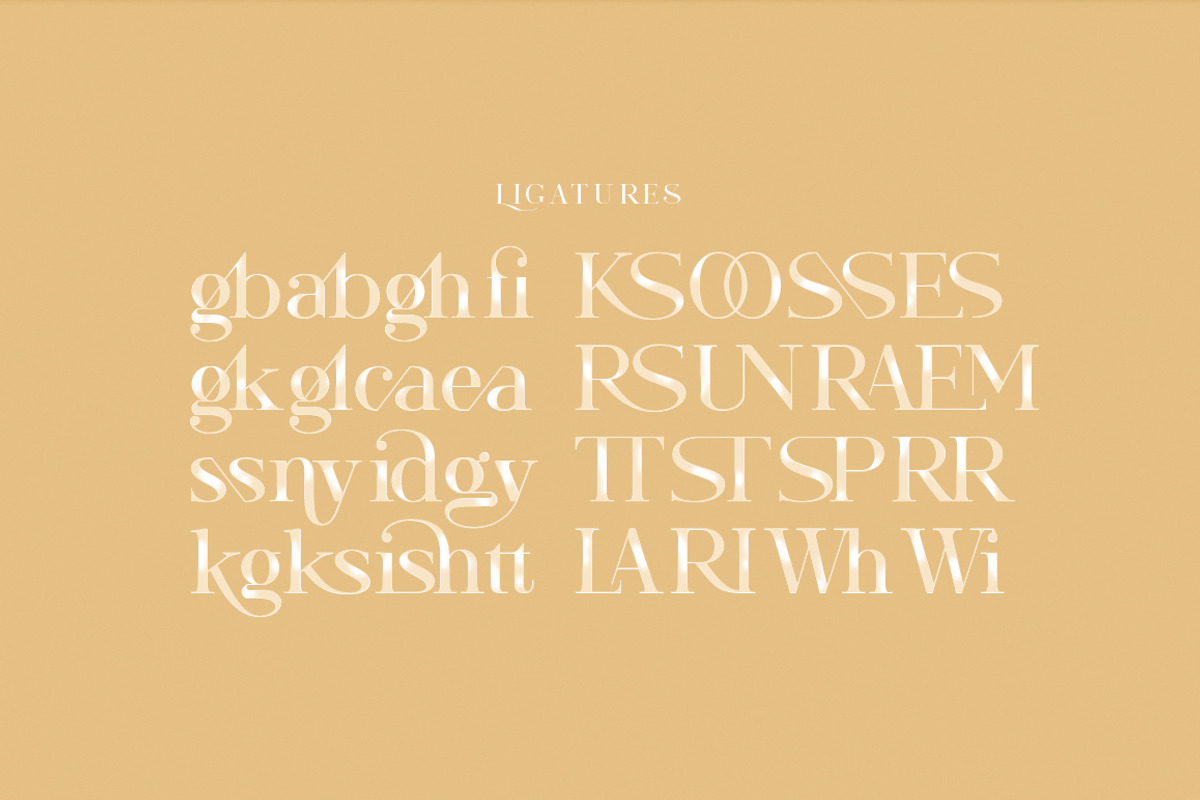 Morissa | Elegant serif, a Serif Font by Areatype (Photo 15 of 21)