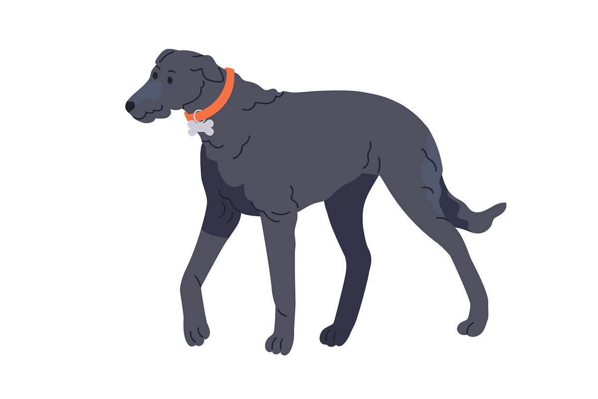 Cute dogs of different breeds set, an Animal Illustration by Good Studio (Photo 5 of 7)