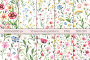 Wild flowers watercolor collection, a Decorative Illustration by Dashamoony (Thumbnail 3 of 3)