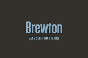 Brewton — Vintage Sans Display Font