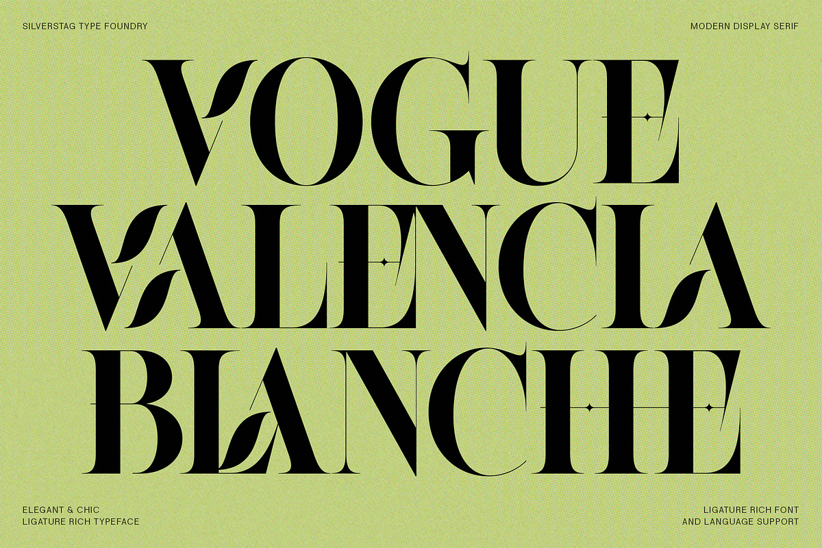 Raving Display Editorial Serif Font, a Serif Font by SilverStag Type Foundry (Photo 21 of 30)