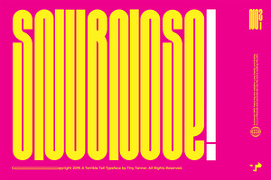 Snubnose! Display Typeface
