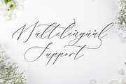 Liontinela Realise Chic Calligraphy, a Script Font by Storytype Studio (Thumbnail 12 of 15)