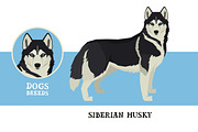 Dog breeds Siberian Husky, an Animal Illustration by Nenilkime (Thumbnail 1 of 3)