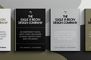 Leonidas Sans - Variable Weight Font, a Sans Serif Font by Eagle & Bison Design Co. (Thumbnail 4 of 11)