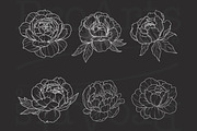 Peony Procreate Tattoo Brush Set, a Brush Add-On by Lucrumplus (Thumbnail 2 of 10)